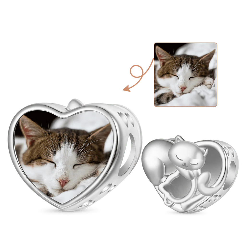 Gnoce Cat Love Photo Charm Platinum-plated Silver Blend
