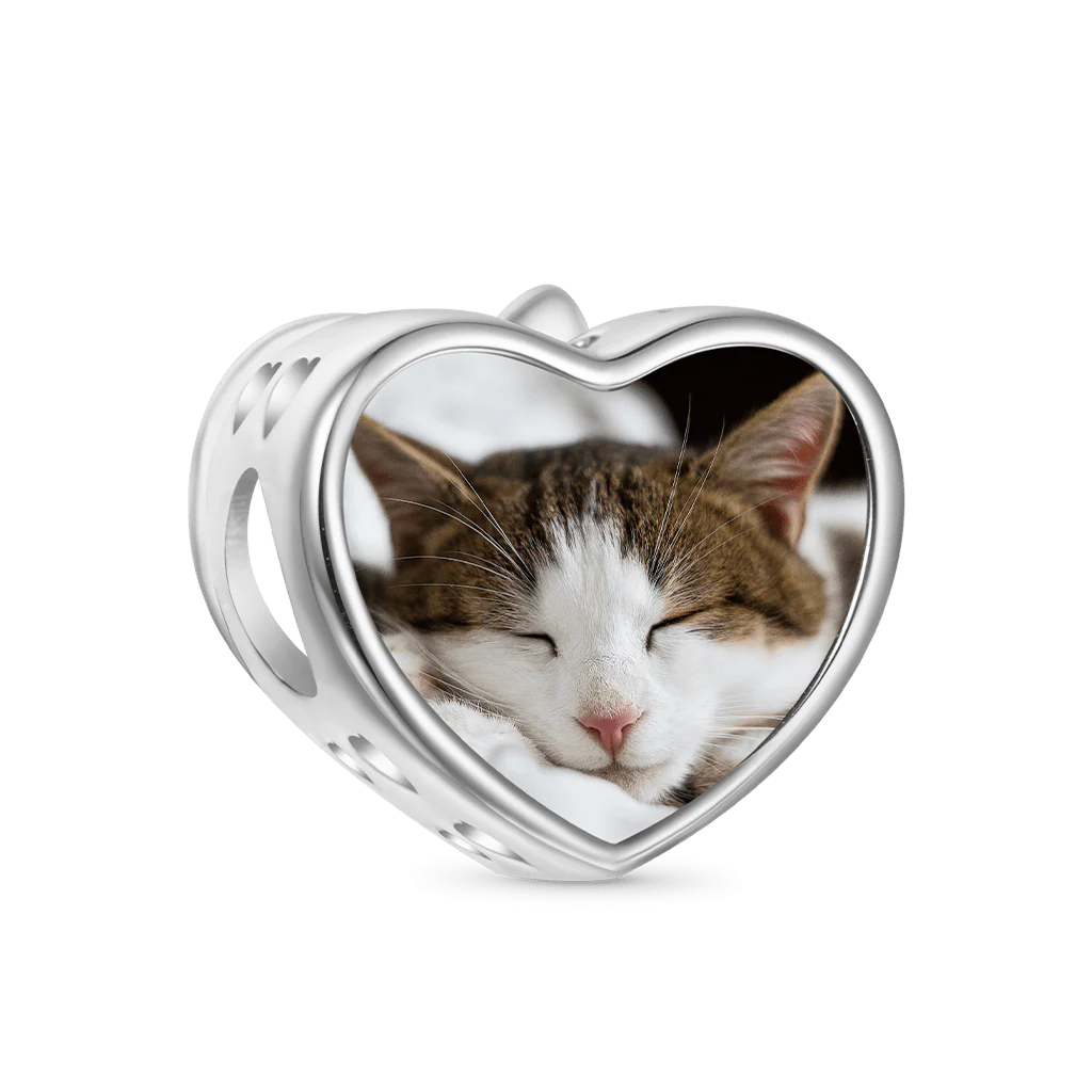 Gnoce Cat Love Photo Charm Platinum-plated Silver Blend - Image 3