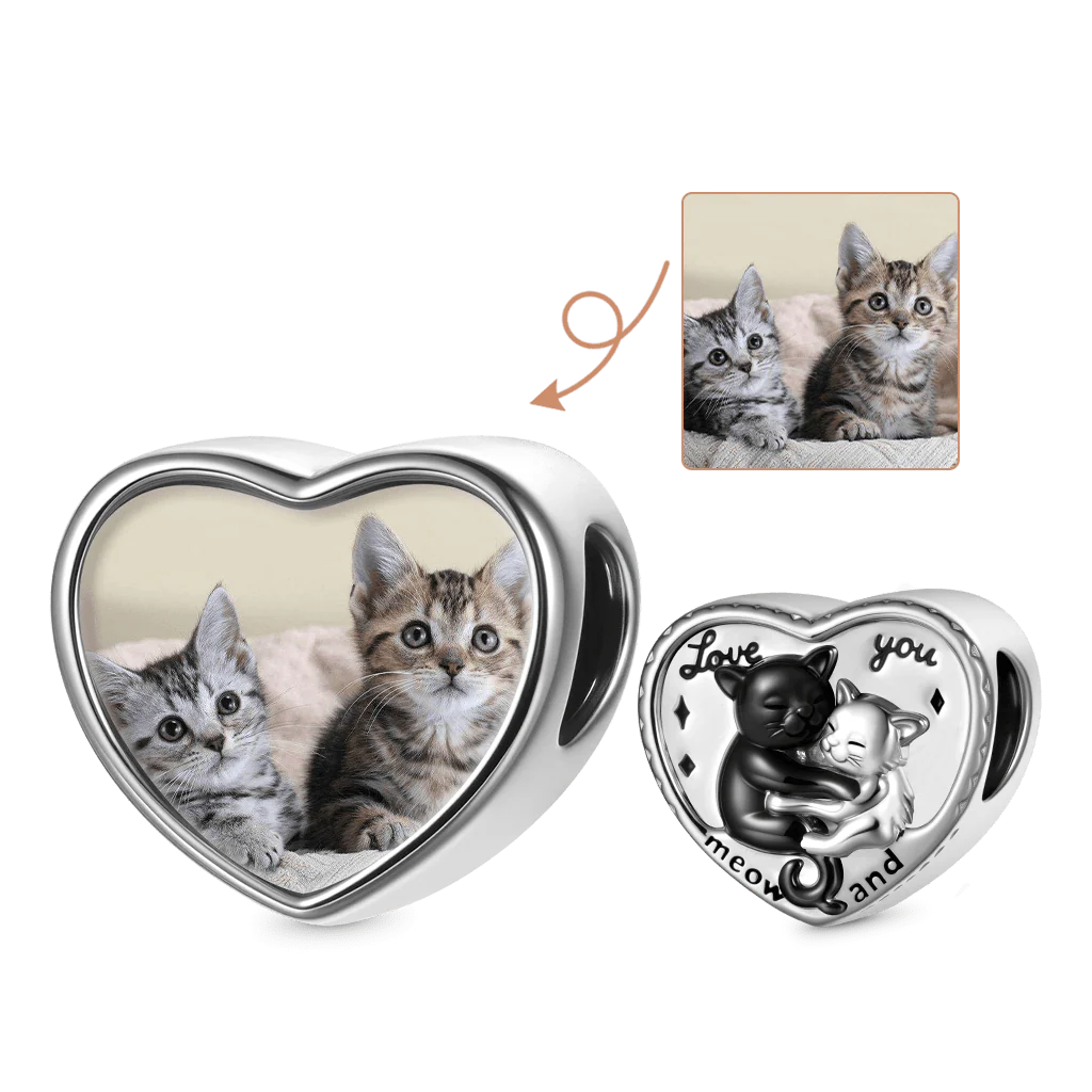 Gnoce Embrace Cat Photo Charm Platinum-plated Silver Blend