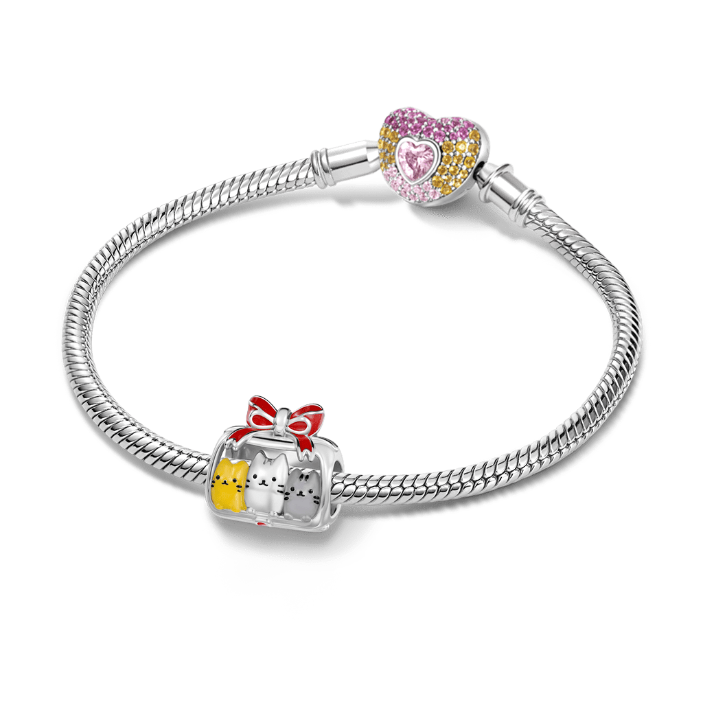 Gnoce Cats Gift Box Charm Platinum-plated Silver Blend - Image 3
