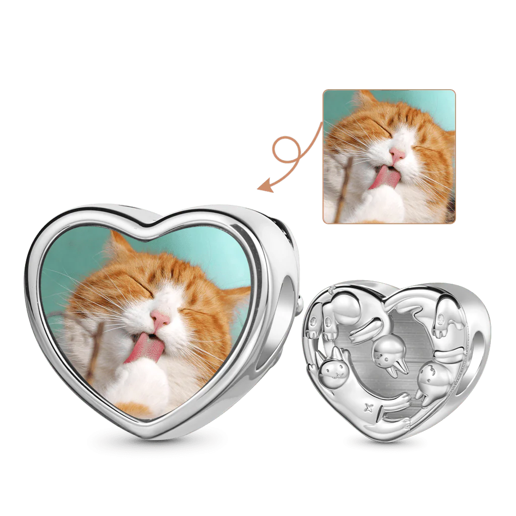 Gnoce Cats Photo Charm Platinum-plated Silver Blend