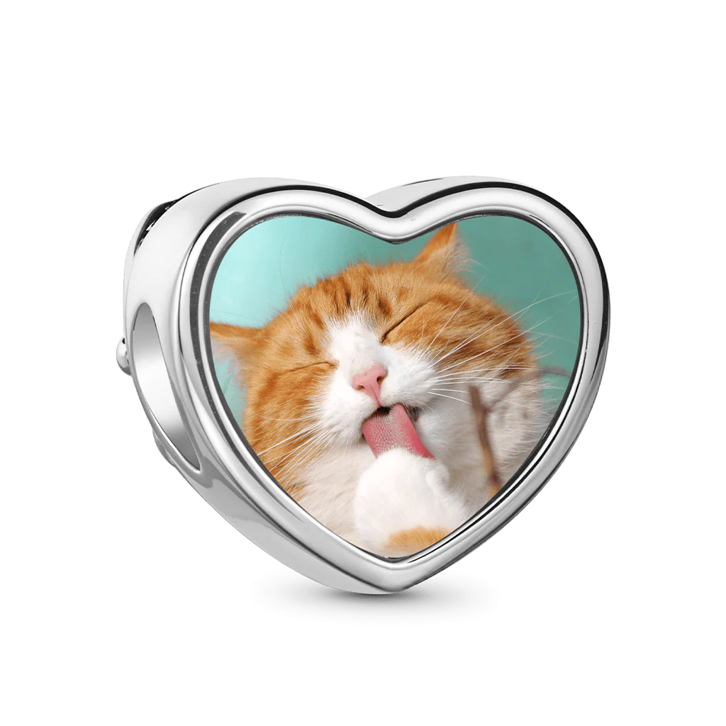 Gnoce Cats Photo Charm Platinum-plated Silver Blend - Image 2