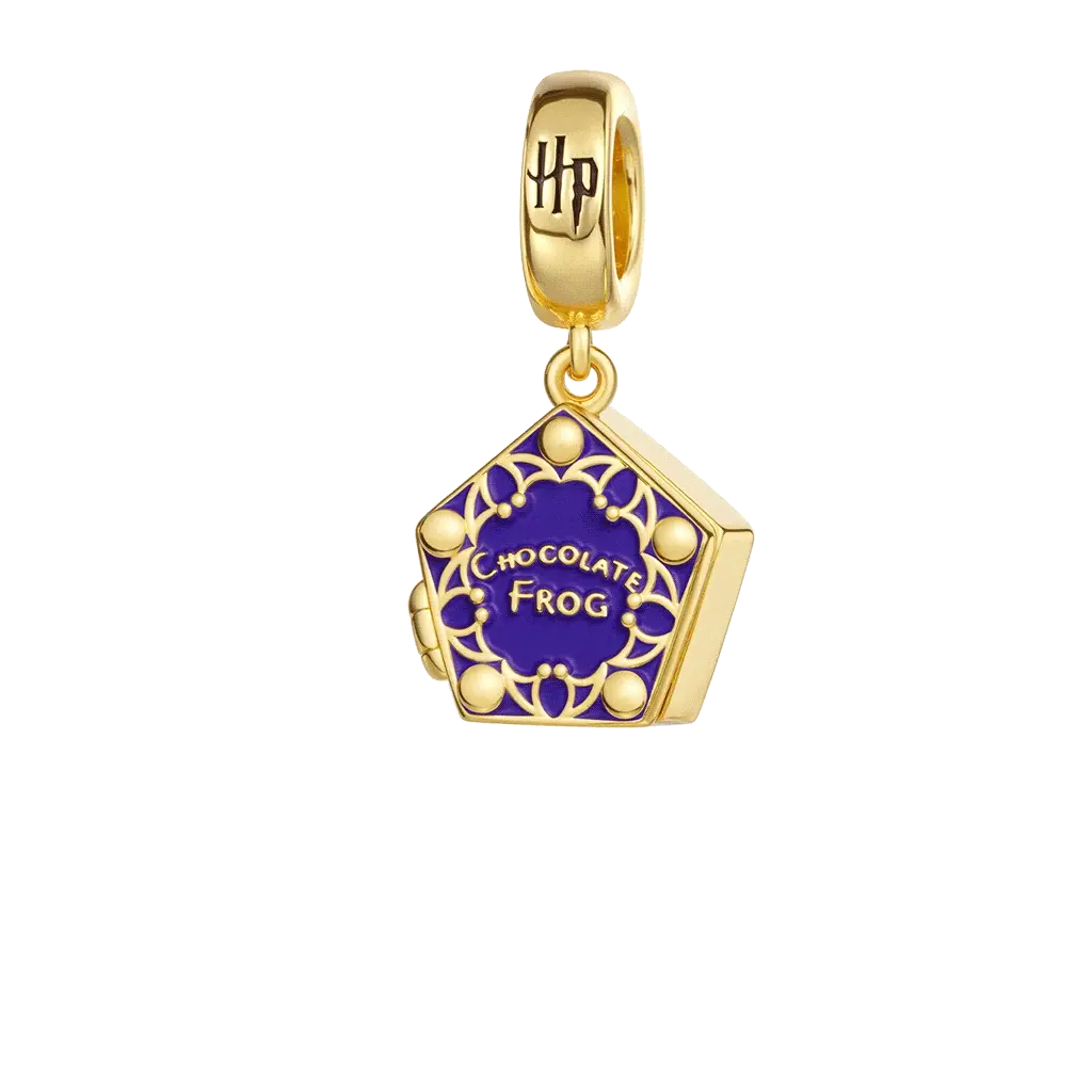 Gnoce Harry Potter Chocolate Frog Charm