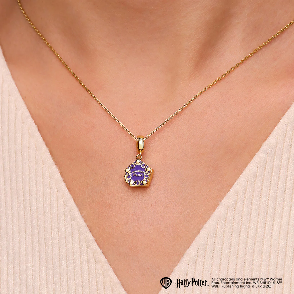 Gnoce Harry Potter Chocolate Frog Charm - Image 3