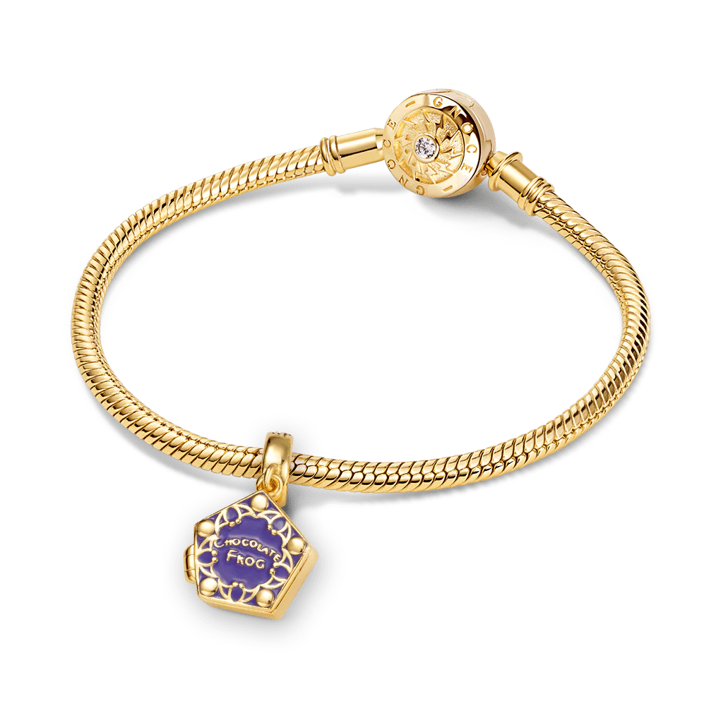 Gnoce Harry Potter Chocolate Frog Charm - Image 4