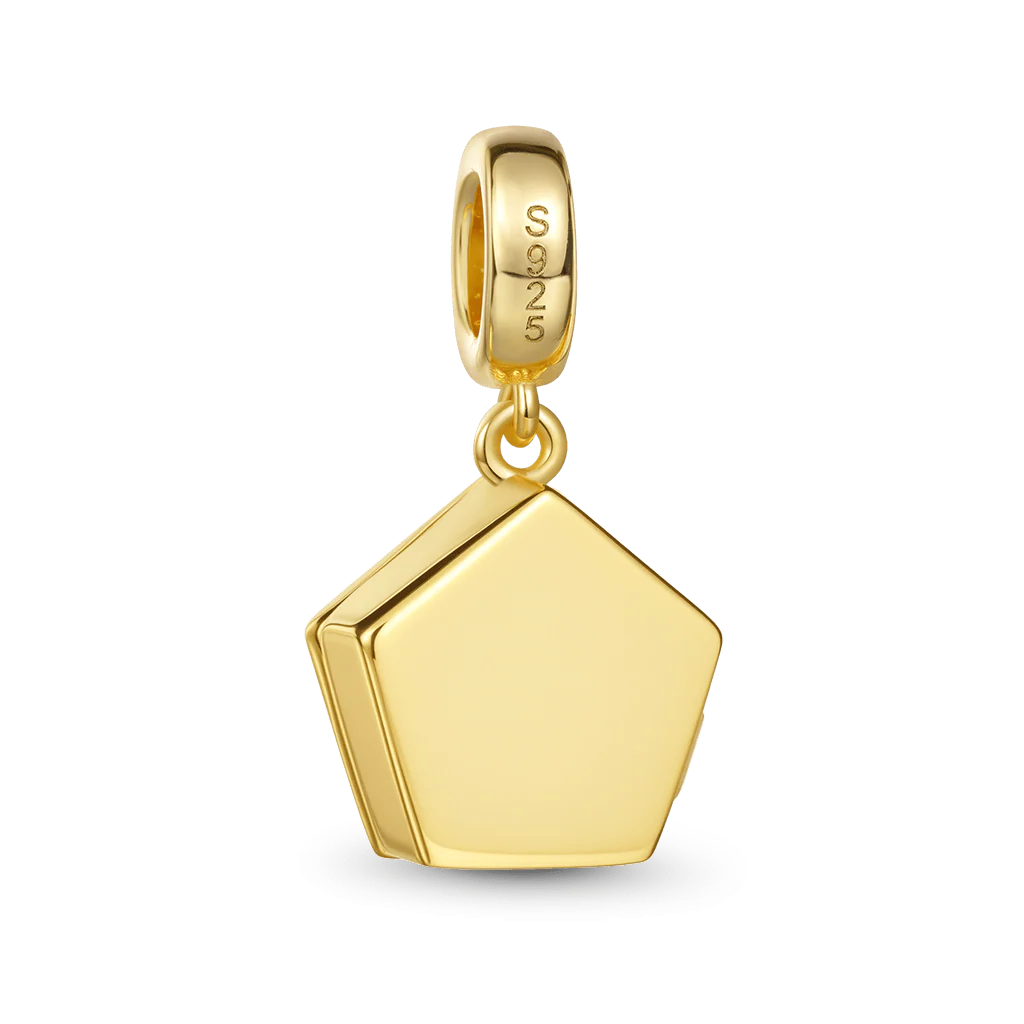 Gnoce Harry Potter Chocolate Frog Charm - Image 6