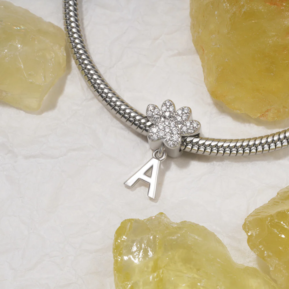Gnoce Dog Paw Letters Personalized Charm Platinum-plated Silver Blend - Image 3