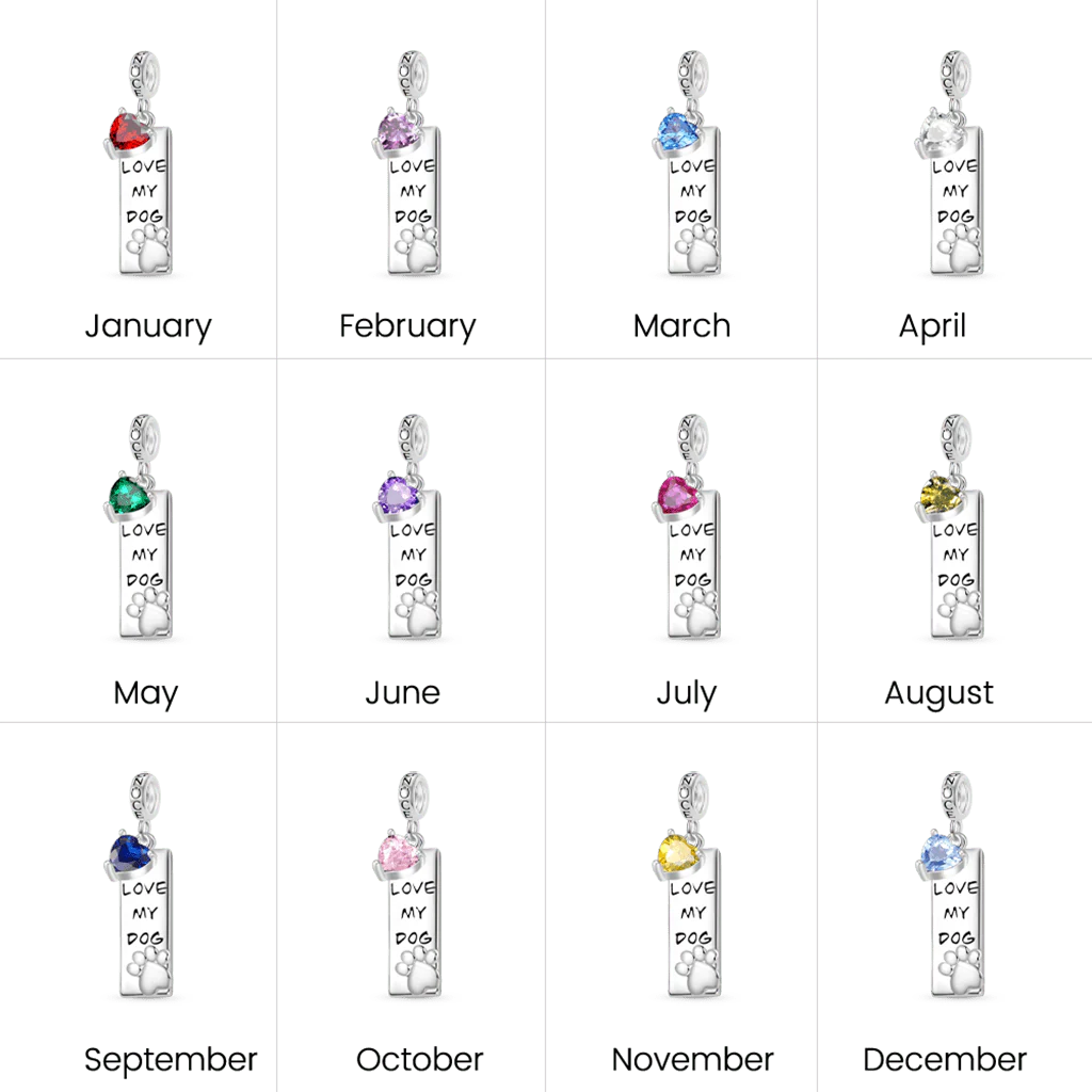 Gnoce Engravable Pet Dog Birthstone Charm Platinum-plated Silver Blend - Image 4