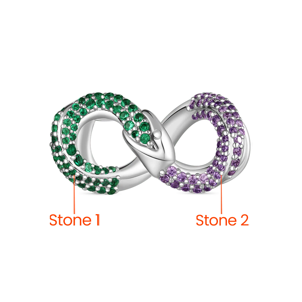 Gnoce Ouroboros Inlaid Zircon Birthstone Charm Platinum-plated Silver Blend - Image 3