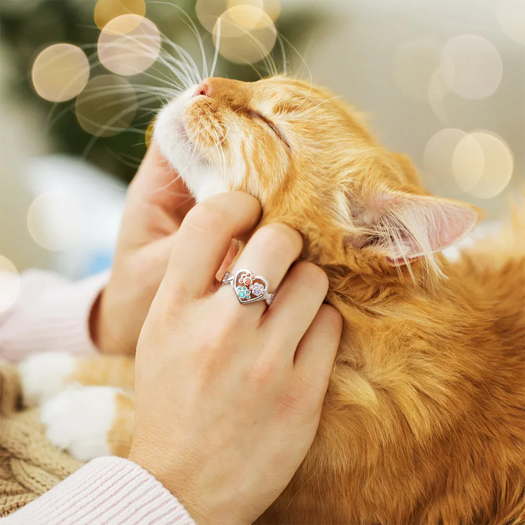 Gnoce Personalized 1-4 Paw Heart Birthstone Ring - Image 3