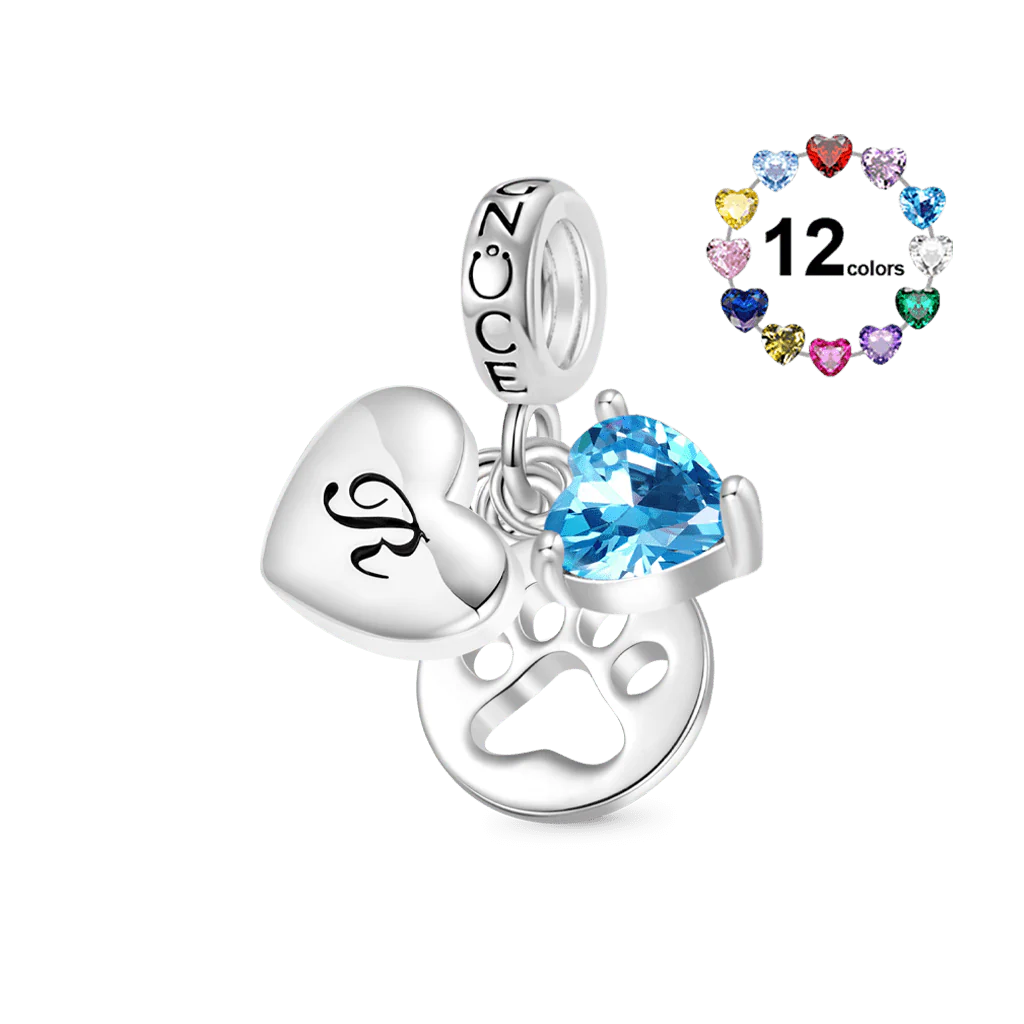 Gnoce Personalized Letter Pet Love Birthstone Charm Platinum-plated Silver Blend
