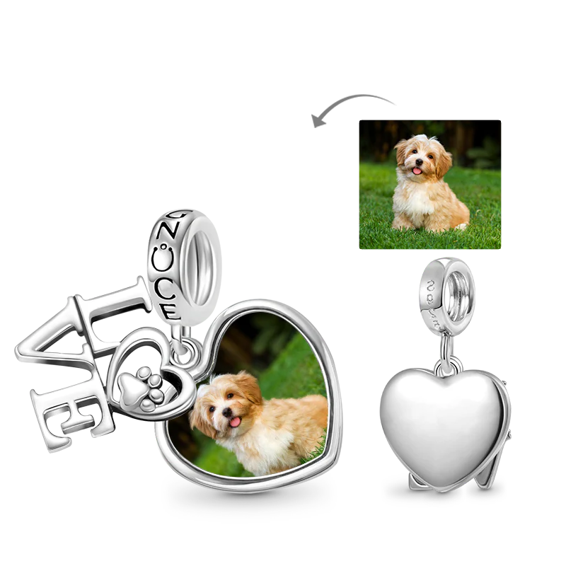 Gnoce Pet Lover Paw Personalized Double Charm Platinum-plated Silver Blend