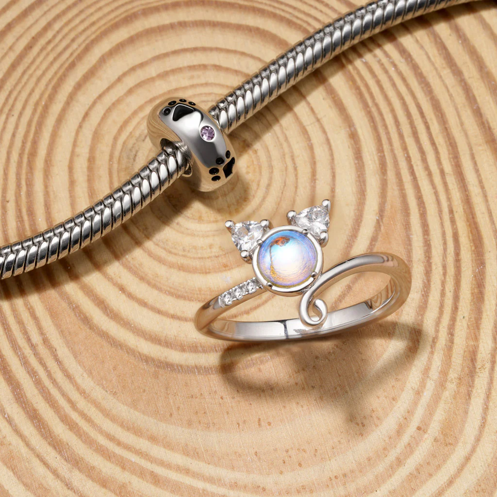 Gnoce Pet Paw Prints Birthstone Stopper Charm Platinum-plated Silver Blend - Image 4