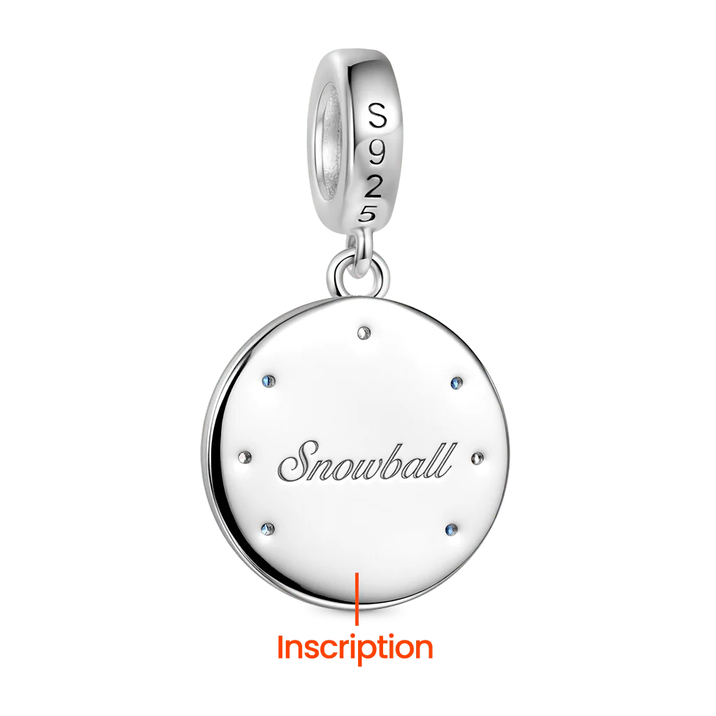 Gnoce Pet Printed Photo Engraving Charm Platinum-plated Silver Blend - Image 3