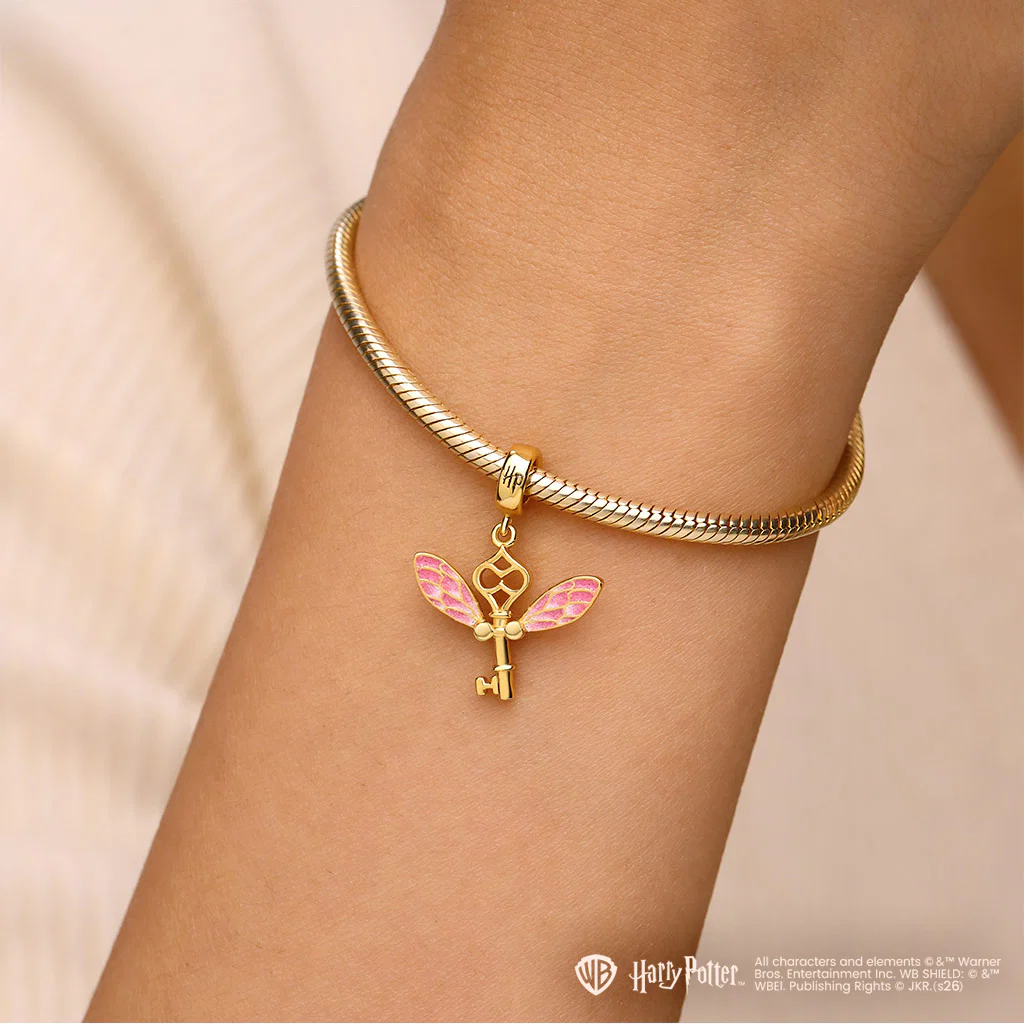 Gnoce Harry Potter Winged Key Charm - Image 3